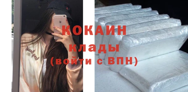 spice Гусев