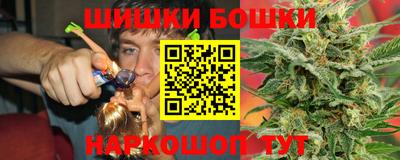 мдпв Гусев