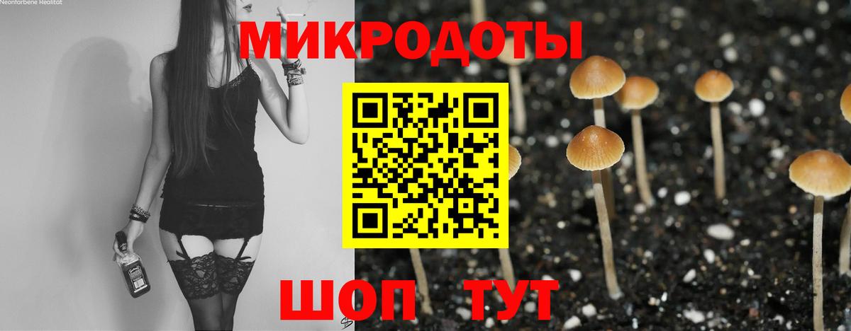 Галлюциногенные грибы GOLDEN TEACHER  Острогожск 