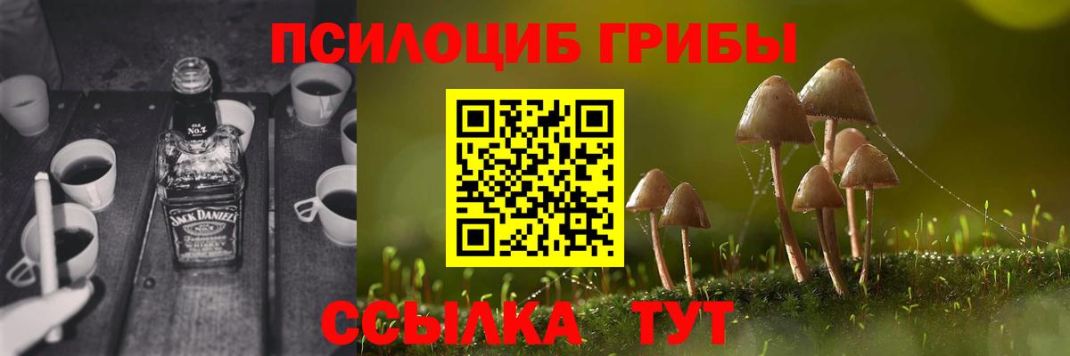 Псилоцибиновые грибы Psilocybe Острогожск